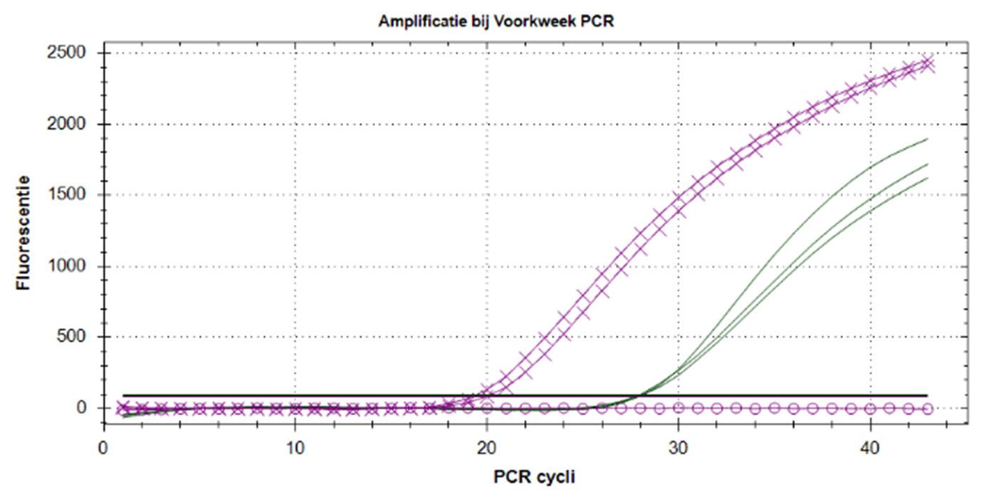 03 voorkweek PCR afbeelding1