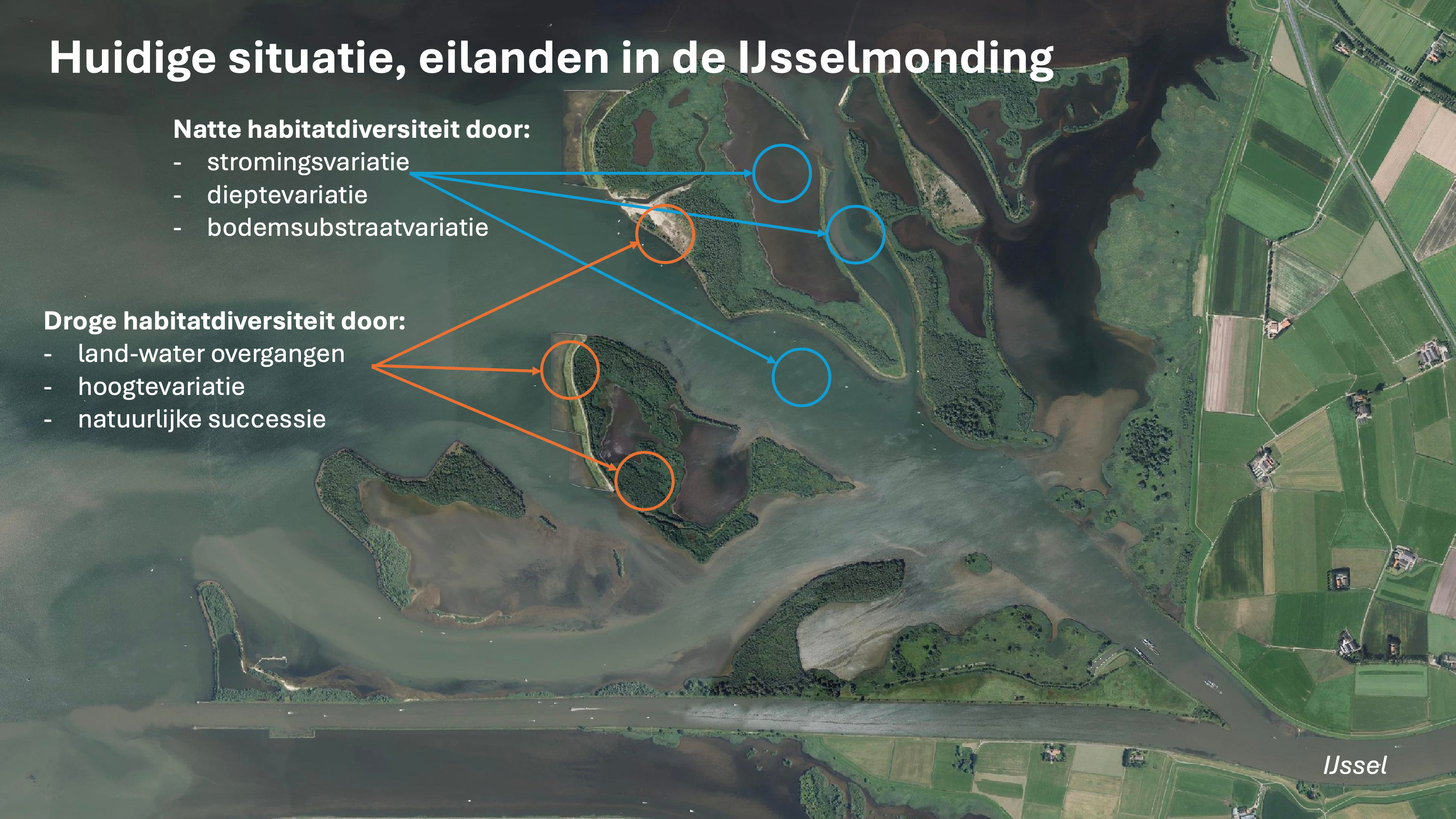 2.Nederlands.Figuur Natuur Keteldelta.Water Matters