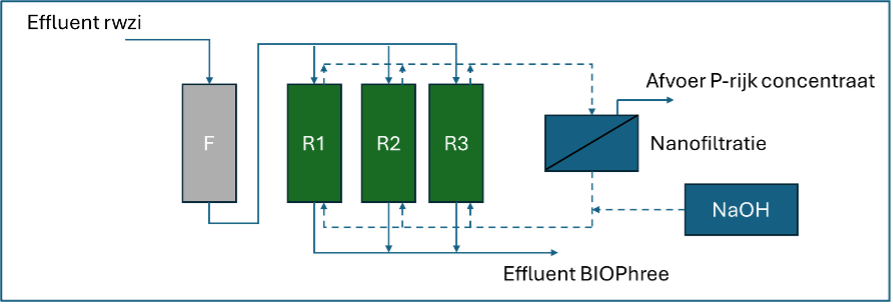 Biophree Afb1 NL