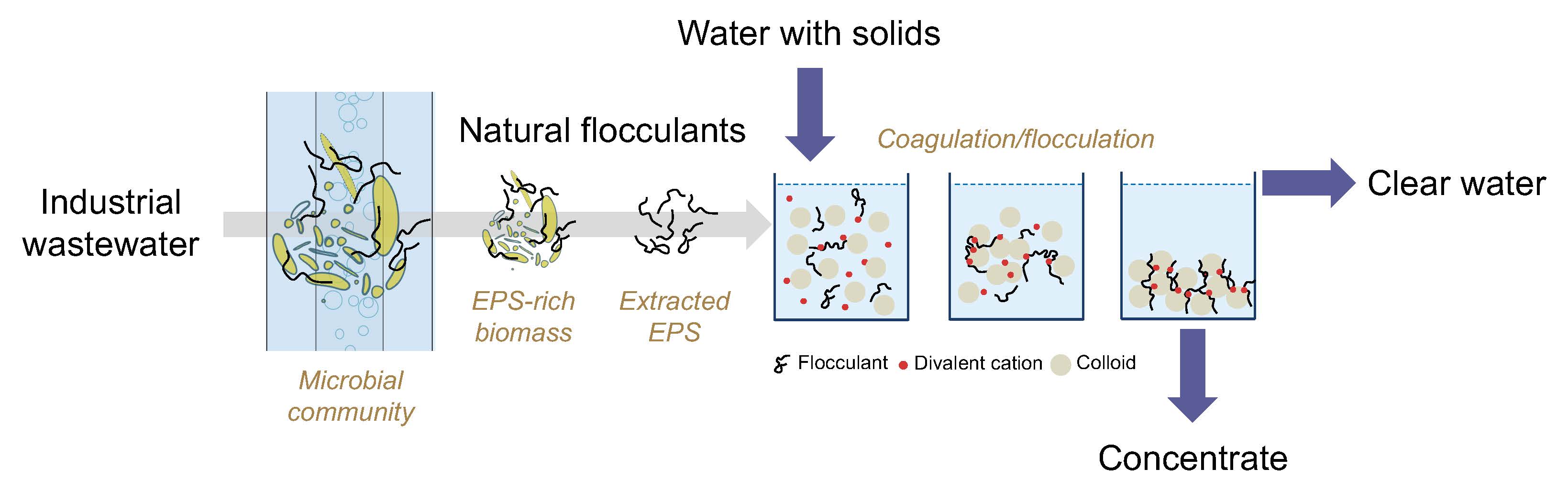 Figure 1 EN