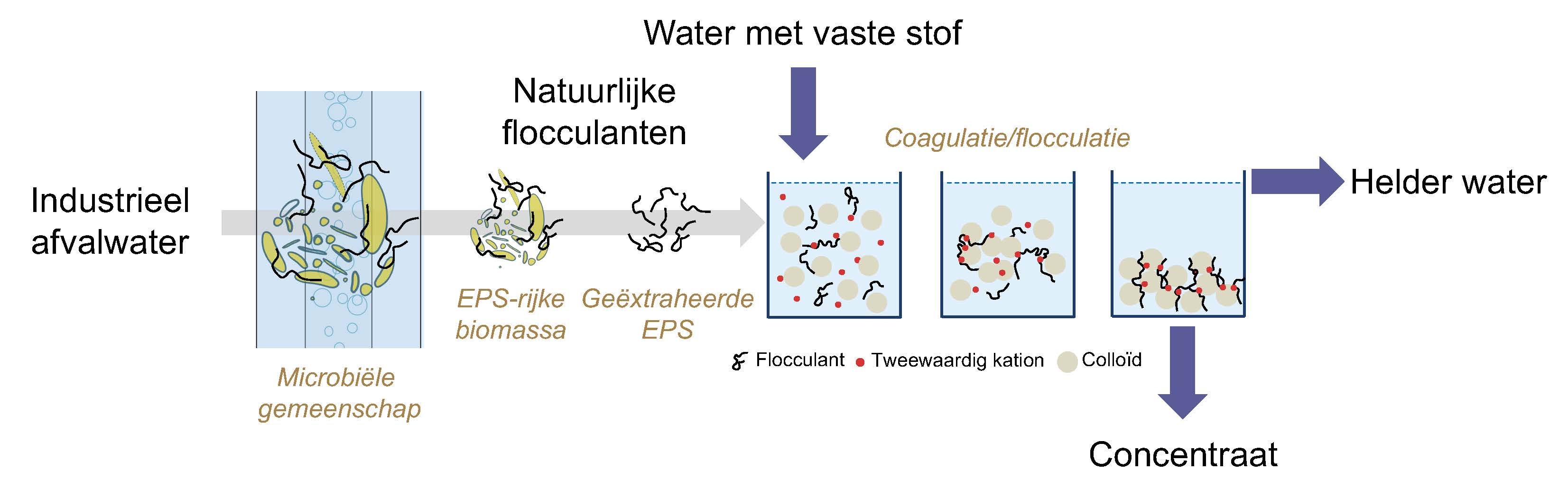 Figure 1 NL