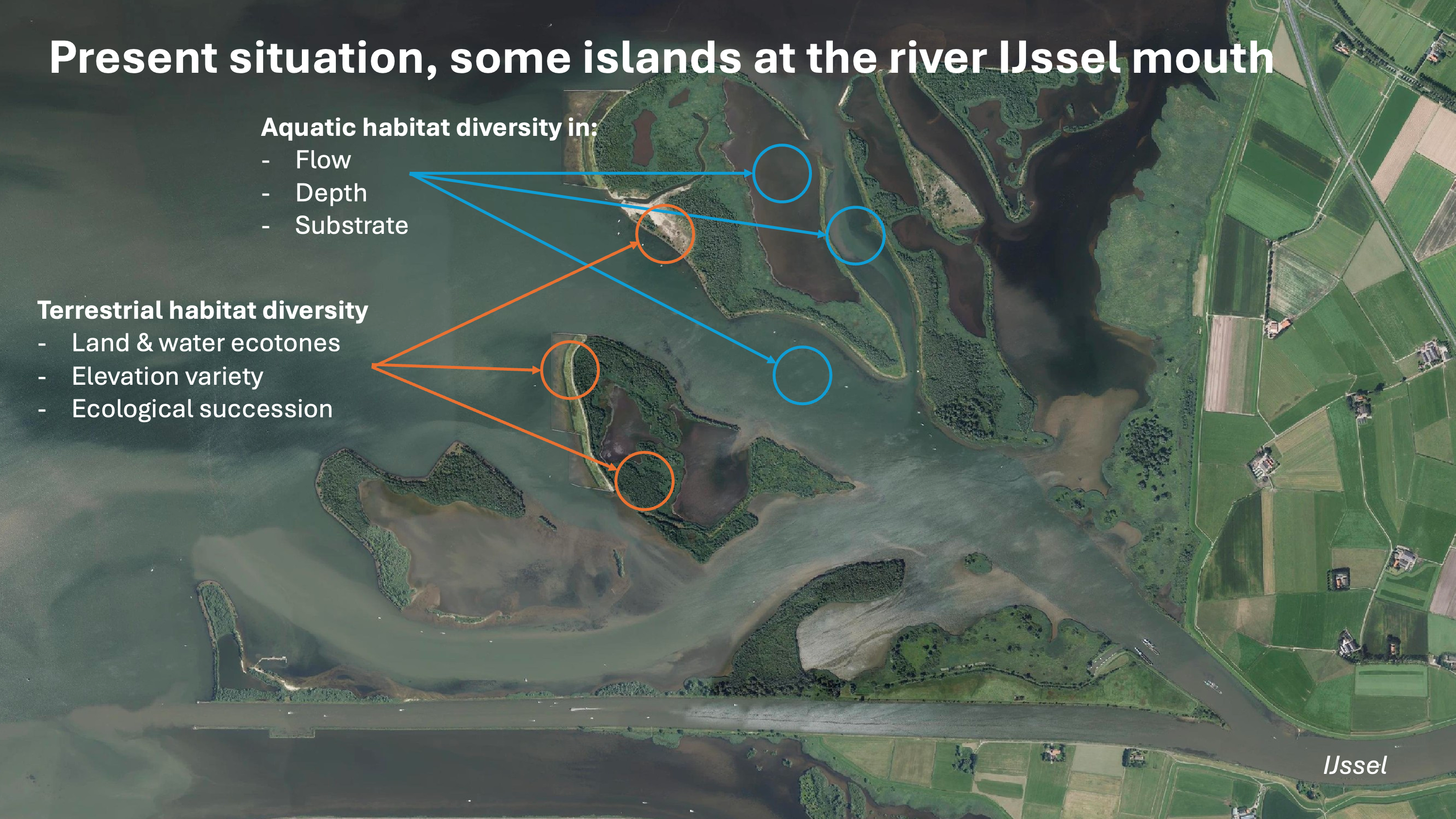 Keteldelta Figure 2.English.Ecology figure Keteldelta.Water Matters