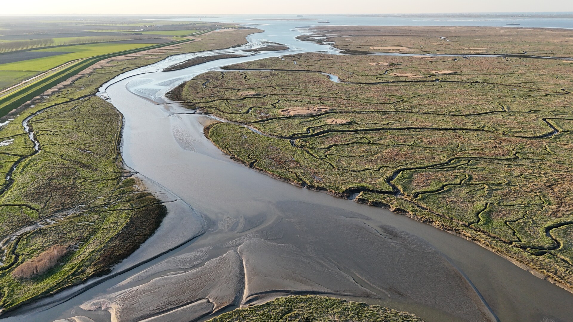 Meegroeilandschappen coverfoto Saeftinghe credits ARK Rewilding NL Thijmen van Heerde